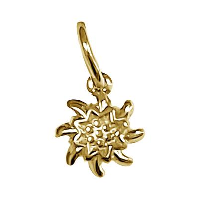 Charms pendentif montre