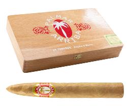 Palmar Arriba Torpedo